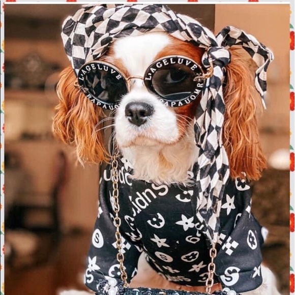 Meet your Posher, Cindy - Picture 10 of 10